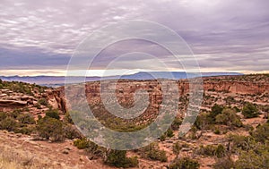 Colorado National Monument near Grand Junction photo